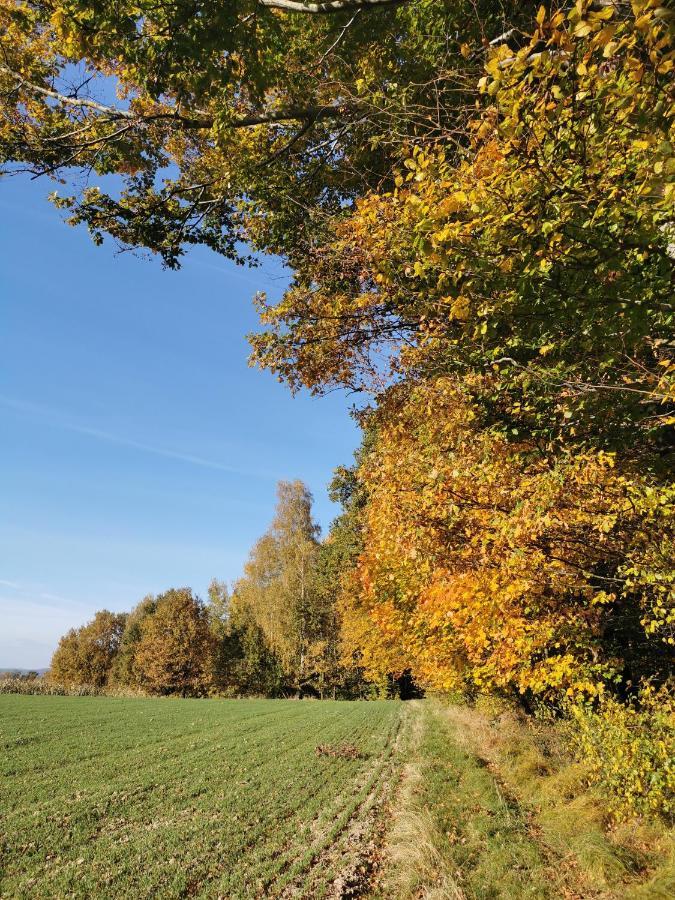 Hygge House Villa Zator